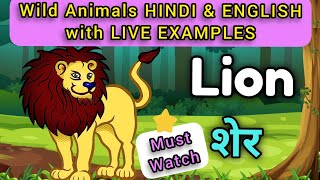 Wild Animals Hindi amp English with live examples  Names of Wild animals  WATRstar [upl. by Ahsinam]