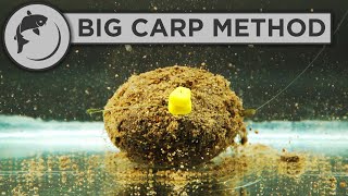 How To Fish The Method Feeder For BIG CARP [upl. by Langer225]