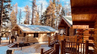 Amish Log Cabin 18x24’ Montana Elvie Visits Owner [upl. by Crescin388]