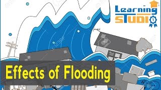 What are the effects of flooding [upl. by Vitek]