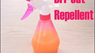 DIY CAT REPELLENT [upl. by Esela]