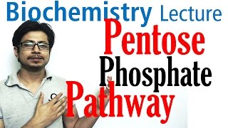 Pentose phosphate pathway [upl. by Laird870]