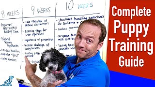 Your Complete Puppy Training Schedule By Age [upl. by Janifer660]