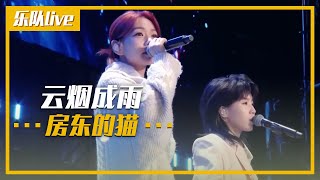 房东的猫演唱《云烟成雨》 温暖的声音让人心旷神怡 乐队live  中国音乐电视 Music TV [upl. by Andri619]