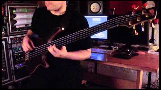 Cynic quotVeil of Mayaquot Bass PlayThrough by Sean Malone [upl. by Enneire]