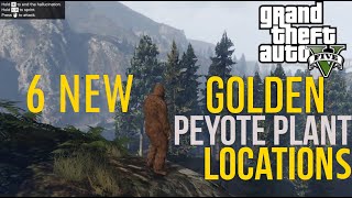 GTA 5 All Golden Peyotes Locations [upl. by Nylasej]