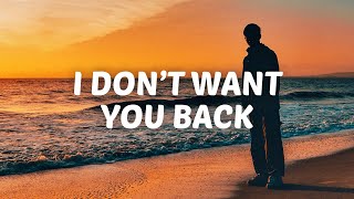 AJ Mitchell  I Don’t Want You Back Lyrics [upl. by Aicined]