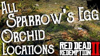 Red Dead Redemption 2  All 25 Sparrows Egg Orchid Locations Duchesses and Other Animals Exotics [upl. by Shaylynn]