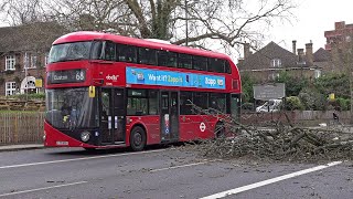 Storm Eunice chaos in London [upl. by Akirdnuhs]