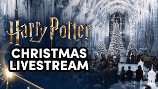 Harry Potter Christmas Scenes Compilation [upl. by Aleedis166]