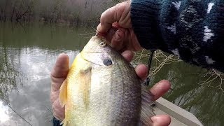 BIG SHELLCRACKER Redear Sunfish Fishing With 1 lb Line and Worms [upl. by Reave]