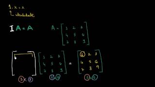 Matriz Identidade [upl. by Htebazle]