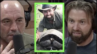 Forrest Galante Rediscovered Extinct Galapagos Tortoise  Joe Rogan [upl. by Christean]