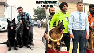 German Shepherd Speciality Dog show in Nawanshahr Punjab 2024😱 [upl. by Drud]