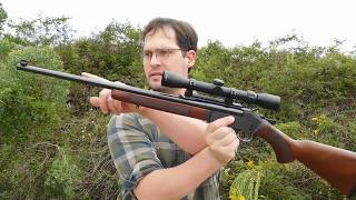 Reviewed Henry Single Shot Rifle 243 Winchester [upl. by Jutta]