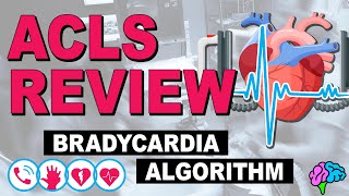 Bradycardia  ACLS Review [upl. by Lemay791]