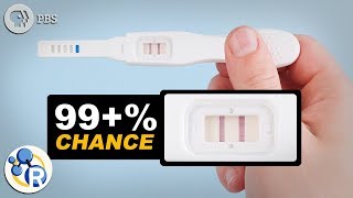 How Do Pregnancy Tests Work [upl. by Sulienroc]