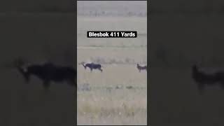 Blesbok 411 Yards [upl. by Waechter]