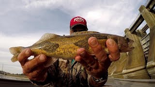 Sauger Fishing  Catching Sauger and Bass At Guntersville Dam [upl. by Leizahaj]