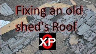 Replace an old Sheds Roof [upl. by Azelea679]