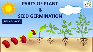 Learn Parts of the Plant  Seed Germination [upl. by Petes189]