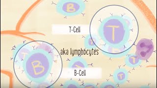 Understanding the Immune System [upl. by Secundas]