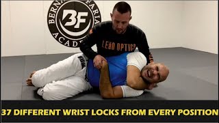 37 Different Wrist Locks From Every Position by Pete The Greek [upl. by Braden463]