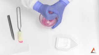 Compounding Tips  Geometric Dilution [upl. by Peh]