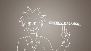 Energy balance explained  get the balance right [upl. by Sorrows]