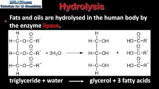 B3 Hydrolysis of lipids SL [upl. by Heyes]