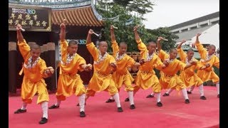 Shaolin Kungfu Masters [upl. by Ri508]