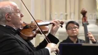 Antonio Vivaldi – Violin Concerto in gminor RV 317 [upl. by Lehcsreh787]