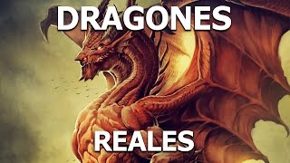 Dragones La Leyenda que Recorre el Mundo ¿Son Reales [upl. by Eisyak324]