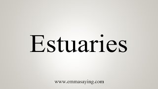 How To Say Estuaries [upl. by Yvette]