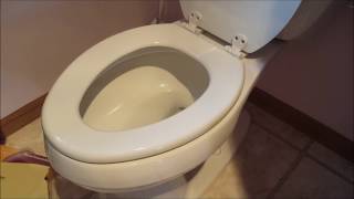 DIY 101 How To Remove amp Replace a Toilet Seat [upl. by Aknayirp]