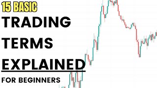 Trading Terms Explained Trading Terms for Beginners [upl. by Sheena344]