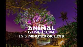 Explore Disneys Animal Kingdom in 5 Minutes [upl. by Anatole]