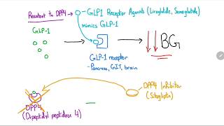 GLP1 Receptor Agonists and DPP4 Inhibitors Explained in 4 Minutes [upl. by Kabab904]