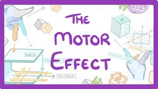 GCSE Physics  Motor Effect [upl. by Lemraj322]