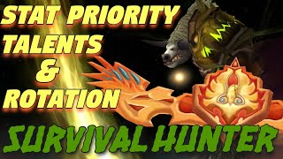 TBC Survival Hunter PvE QUICK Guide  Stat Priority Talents and Single Target DPS Rotation [upl. by Forelli508]