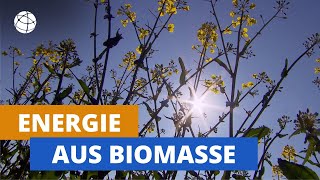 Energie aus Biomasse  total phänomenal  Planet Schule [upl. by Keeley]