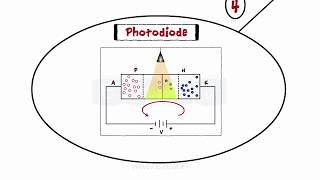 Optical Decives  LED  PhotoDiode  Construction amp Working [upl. by Tniassuot934]