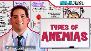 Hematology  Types of Anemias [upl. by Eivol63]