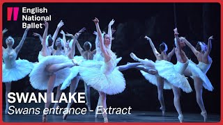 Swan Lake Swans entrance extract  English National Ballet [upl. by Sweet]