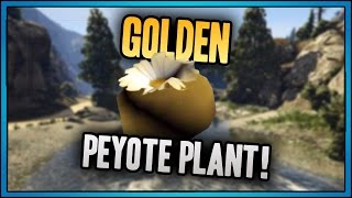 GTA 5 7 Golden Peyote plants found and location [upl. by Gaskin283]