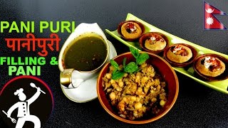 PANI PURI पानीपुरी  Pani and Filling For PANIPURI  How to make Pani Puri 🍴 37 [upl. by Mala]