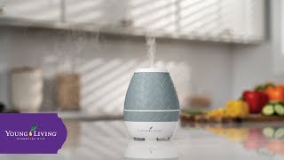 Sweet Aroma™ Ultrasonic Diffuser  Young Living Essential Oils [upl. by Finny]