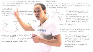 Cysteine Apsratyl and Metalloproteases [upl. by Tiga]