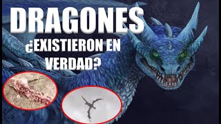 Los Dragones ¿Alguna Vez Existieron  Mini Documental  Historia y Tipos de Dragones [upl. by Lesser75]