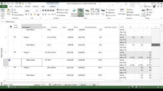 Updating Project Progress with Microsoft Project [upl. by Eelyram]